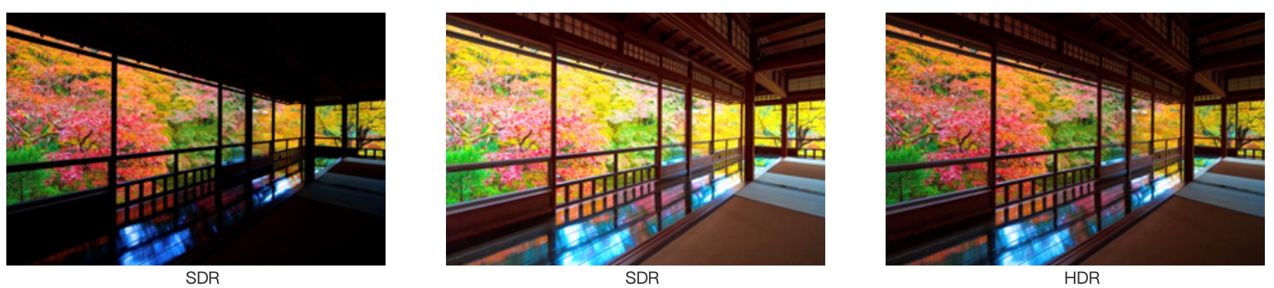 SDR HDR效果對比